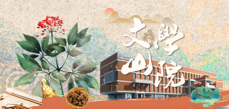 文山学院2025年全国录取分数及位次（2026参考）