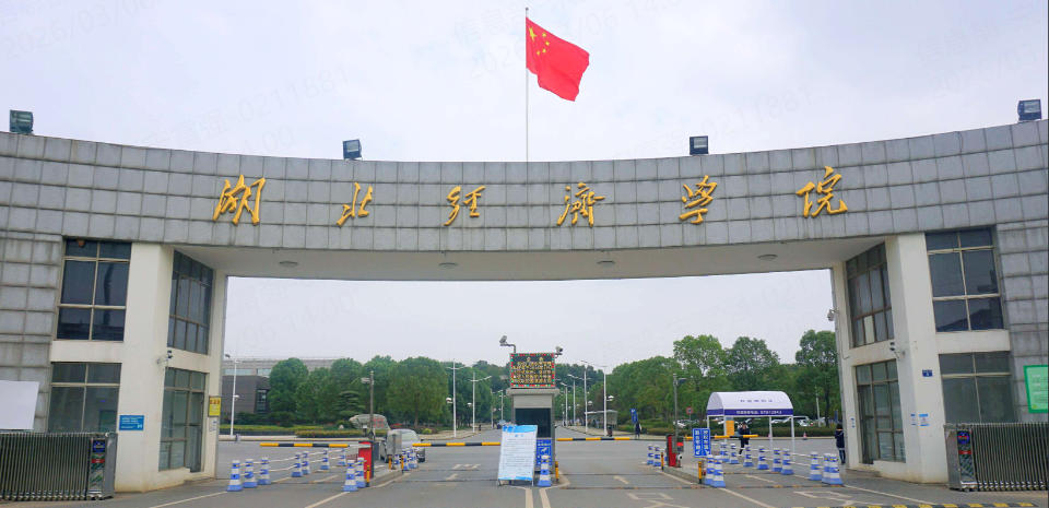 湖北经济学院在湖北省物理类的投档线是多少？（2026参考）