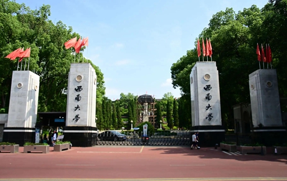 西南大学2026年在全国各省的录取分数及位次