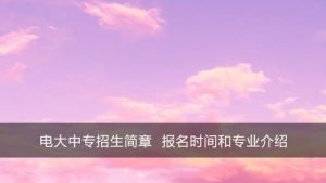 电大中专学籍查询时间